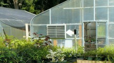 best cheap greenhouse