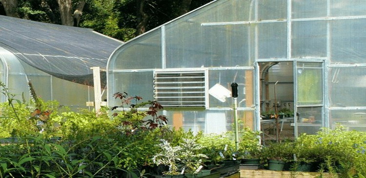 best cheap greenhouse