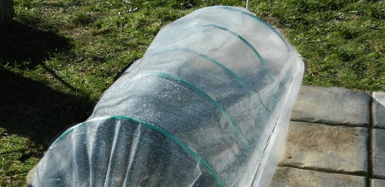 best greenhouse plastic