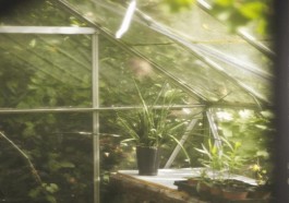how does a greenhouse work